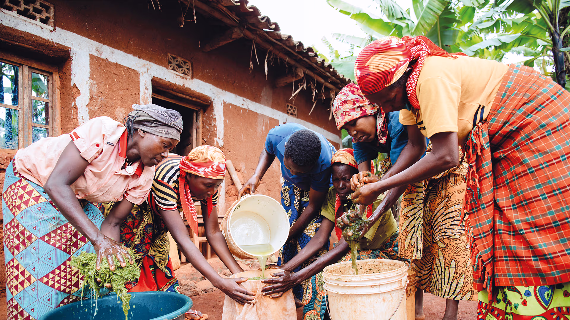 A group of women working together to prepare a plant-based mixture in front of an earthen house, illustrating cooperation and traditional know-how in a rural village.