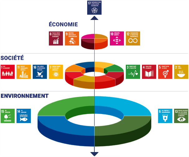 Schéma reliant les Objectifs de développement durable (ODD) aux trois dimensions : Environnement (ODD 6, 13, 14, 15), Société (ODD 2, 3, 4, 5, 7, 11, 16) et Économie (ODD 8, 9, 10, 12), avec l’ODD 17 placé au centre pour représenter les partenariats mondiaux. 
