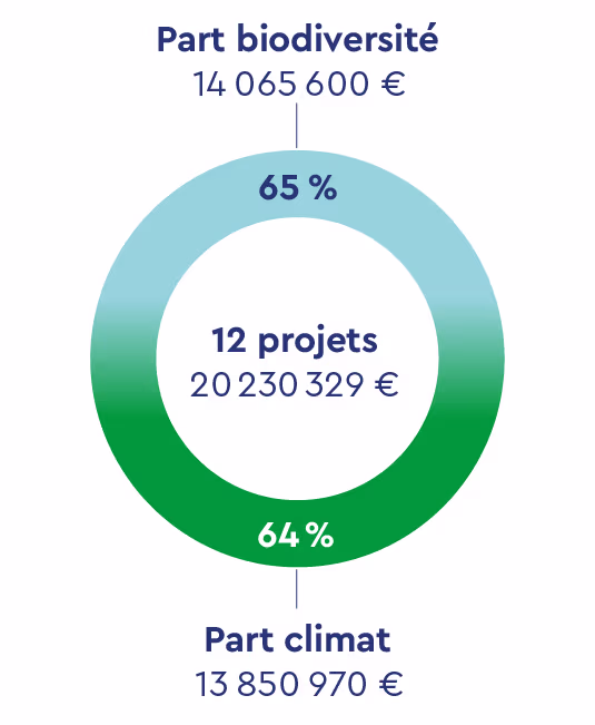 Diagramme circulaire représentant la répartition des projets par domaine principal : 47 % pour le changement climatique (dont 39 % liés à l’adaptation), 39 % pour la biodiversité, et 14 % pour les eaux internationales et la dégradation des terres.
