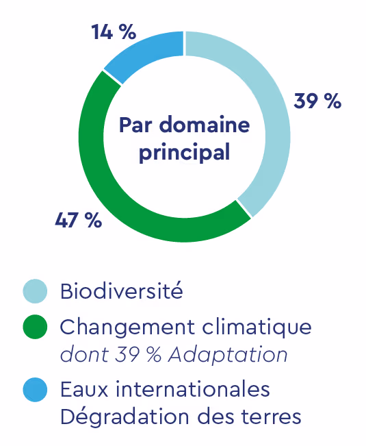 Diagramme circulaire indiquant la répartition géographique des projets : 74 % en Afrique et Méditerranée, 22 % en Amérique latine, 3 % en Asie et 1 % dans le reste du monde. 