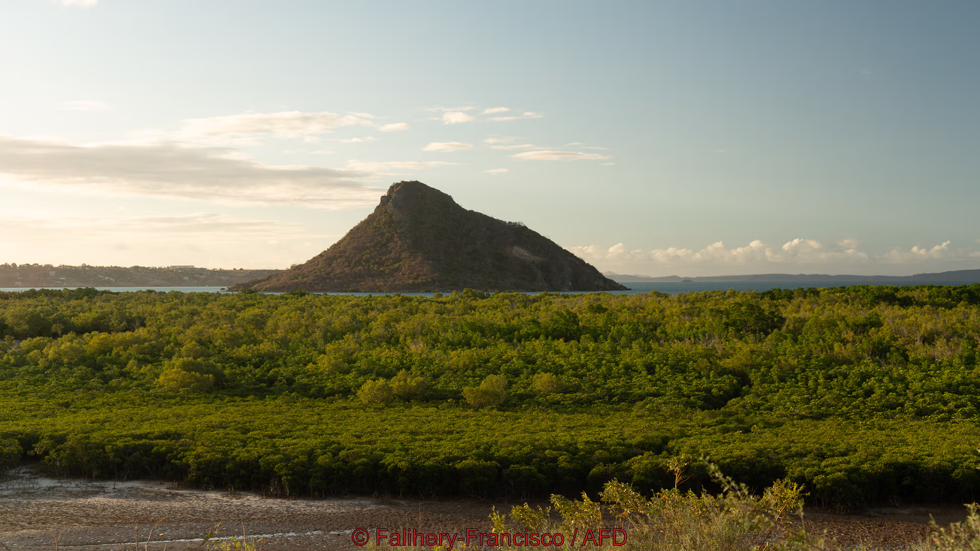 Colline isolée au bord de la mer, entourée d’une vaste mangrove verdoyante sous un ciel clair au coucher du soleil.