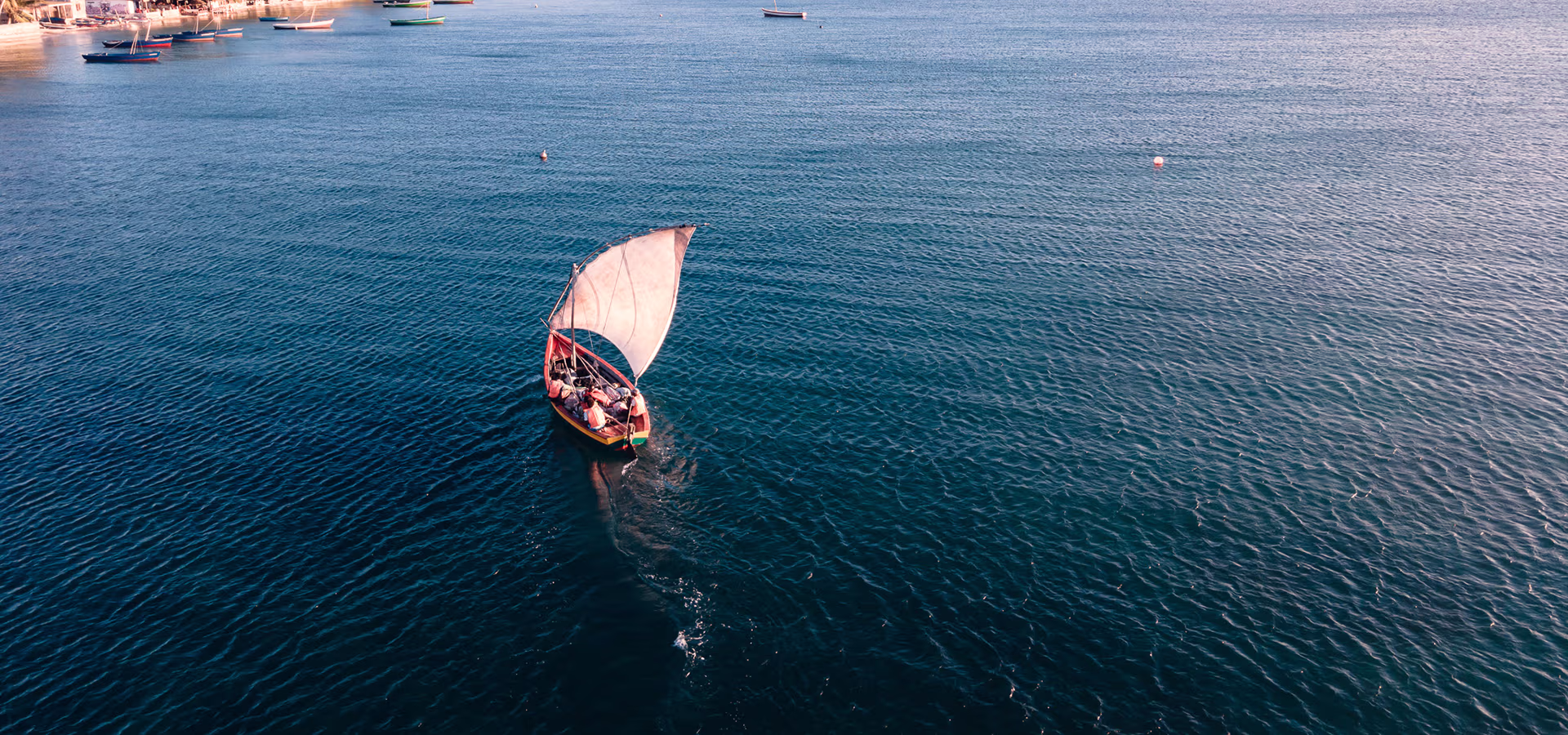 Vue aérienne d’un petit voilier à voile latine naviguant près du rivage bordé de palmiers, sur une mer calme et bleue. 