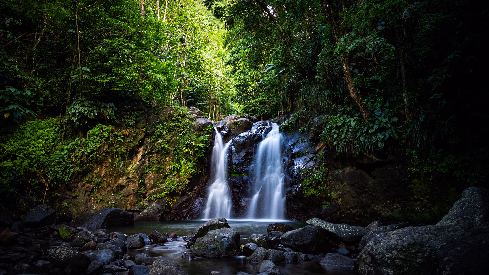 Petite cascade entourée d’une végétation dense et verdoyante dans une forêt tropicale.
