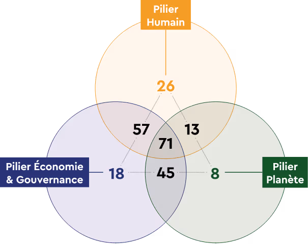 Diagramme de Venn représentant la répartition des projets selon trois piliers : Humain, Économie & Gouvernance, et Planète. 26 projets concernent uniquement le pilier Humain, 18 le pilier Économie & Gouvernance, et 8 le pilier Planète.57 projets combinent Humain et Économie & Gouvernance, 13 combinent Humain et Planète, 45 combinent Planète et Économie & Gouvernance, et 71 projets relèvent des trois piliers à la fois.