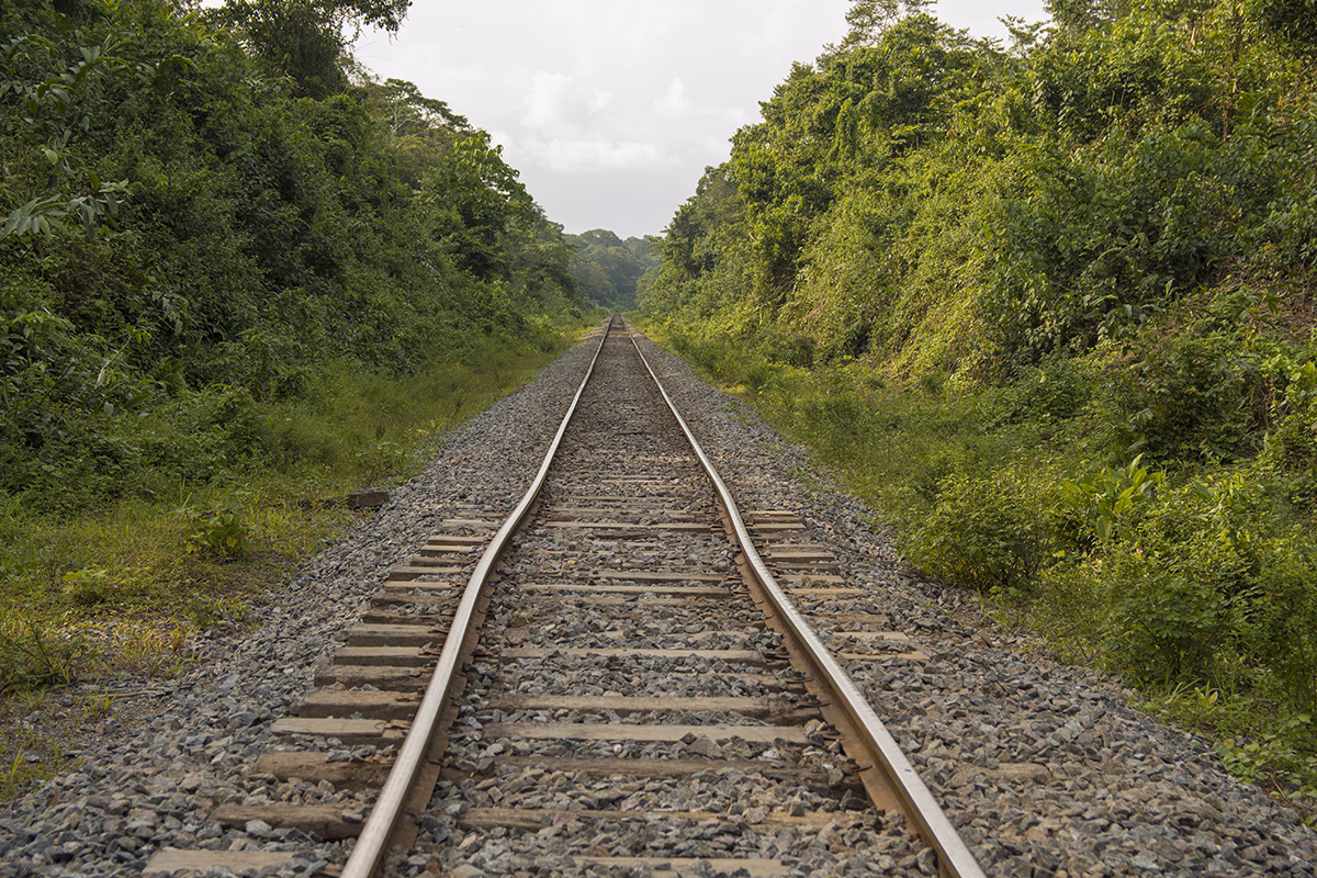 Railway line running through dense green vegetation, stretching straight toward the horizon.