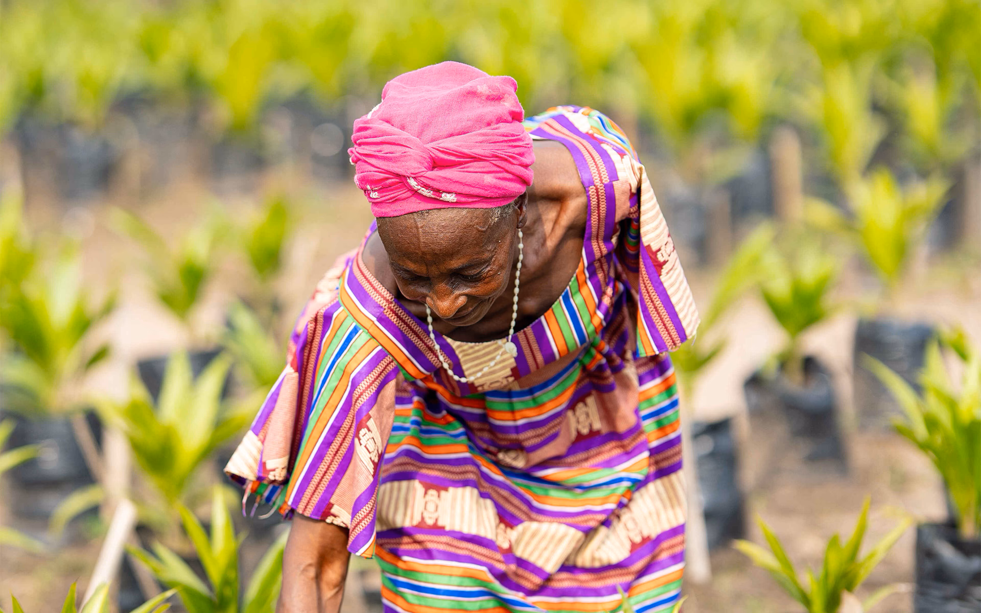 Femme portant une tenue colorée et un foulard rose, travaillant dans une pépinière de jeunes plants en sacs de terre.