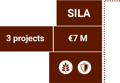 Details for the Sila province
