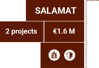 Details SALAMAT province - 2 projects