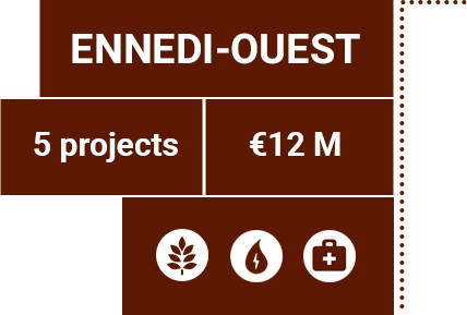 Details for the Ennedi-ouest province