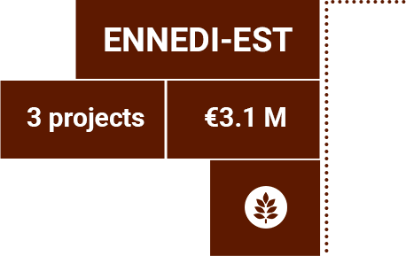Details for the Ennedi-est province