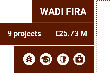 Details for the Wadi-Fira province