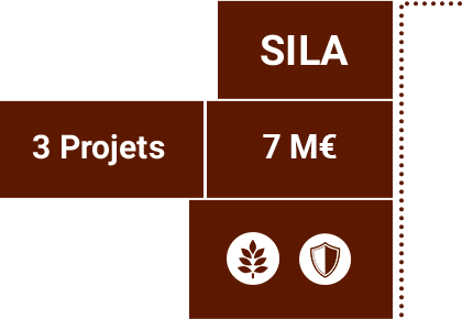 Détails province de Sila