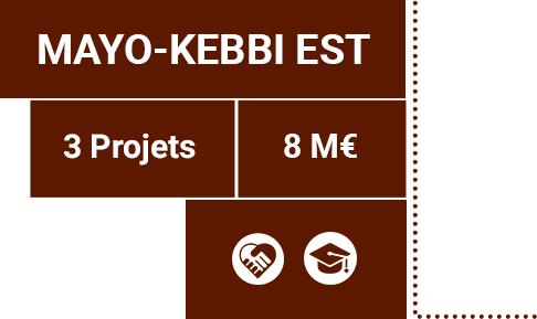 Détails province de Mayo-Kebbi Est