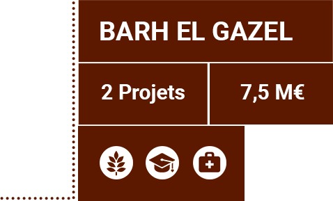 Détails province de Barh El Gazel